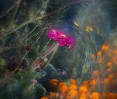 KMZ  Helios 44M f/2 Lens Petzval Modification Dreamy Swirly Bokeh SONY E adapter - Image 1 of 4