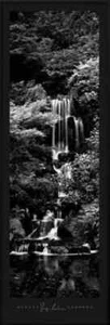 Garden Falls, George Lambros, affiche murale art print 36" x 12" - Photo 1/1