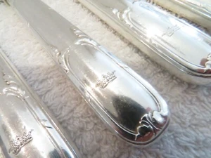 Magnificent French 950 silver handles 10 fruit knives Louis XVI marquis - Picture 1 of 11