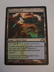 Breeding Pool HP Magic the Gathering Gatecrash MTG - Picture 1 of 6