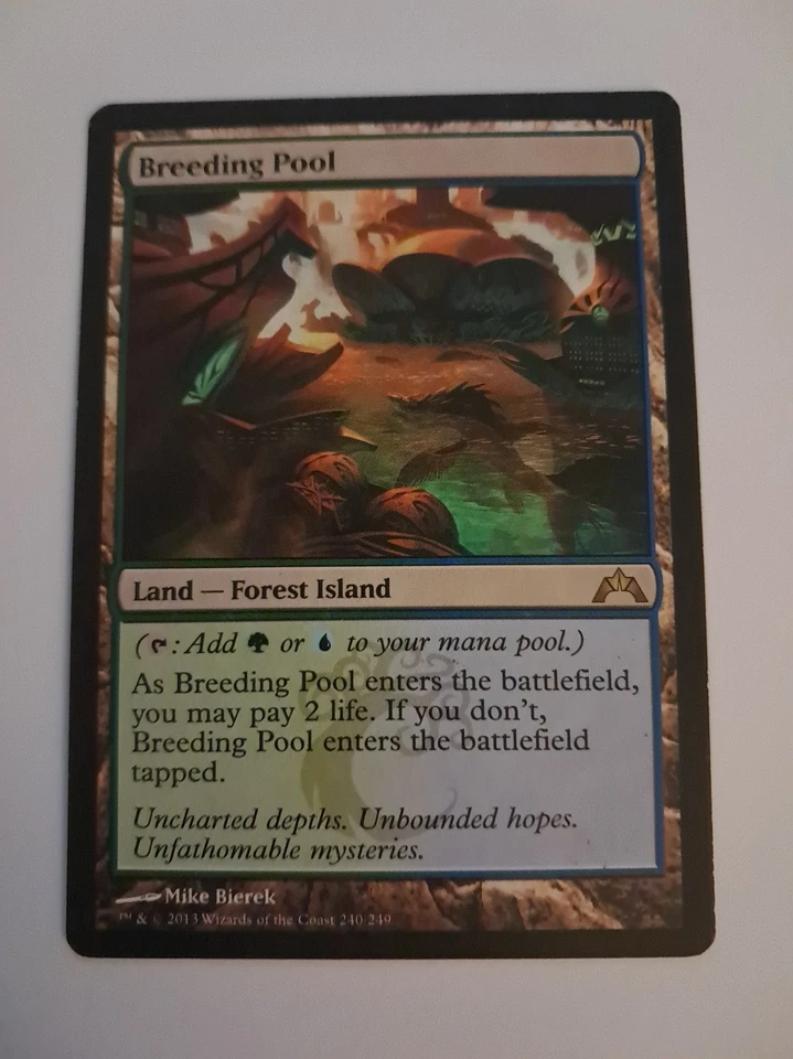 Breeding Pool HP Magic the Gathering Gatecrash MTG - Image 1 of 4