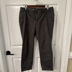 EDDIE BAUER Fleece Lined Womens P10 Boyfriend Stretch Hiking Gray Pants SZ 10 - Picture 1 of 9