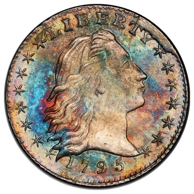 Cabello suelto medio centavo 1795 graduación profesional MS66+ (CAC) Foto 1 de 4