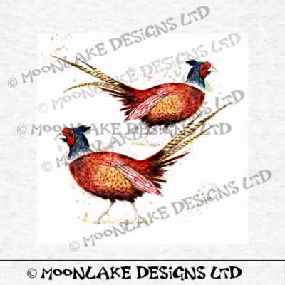 MOONLAKE DESIGNS Vogel - Fasane auf weißem Stoff Bastelbahnen in 100% Baumwolle oder Polyester