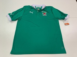 puma mexico jersey