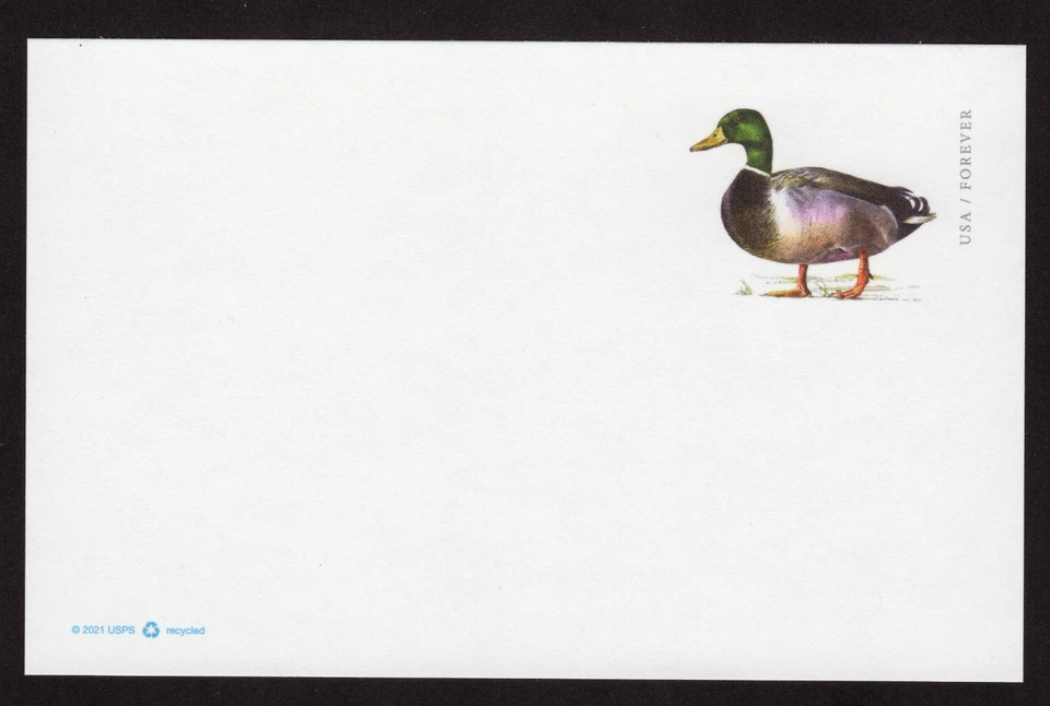 Scott #UX648 Mallard Reply Card Stamped Forever - Image 1 of 1