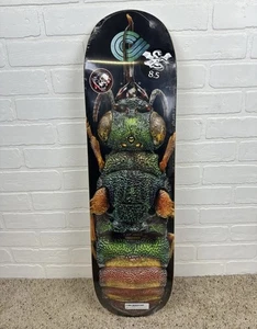 POWELL PERALTA TAILED WASP MAPLE DECK 7-PLY SKATEBOARD 8.5”x 32.08” - Bild 1 von 5