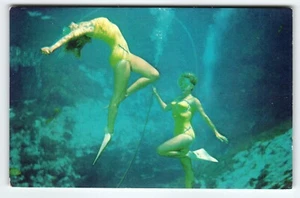 Weeki Wachee Mermaids Florida Postcard Women Perform Underwater Chrome Unused - Picture 1 of 2