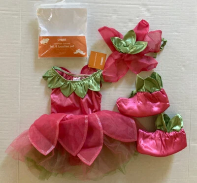 NWT Gymboree 12-18 Months Pink Fairy Costume w/ Wings Headband Hat & Booties - Image 1 of 2