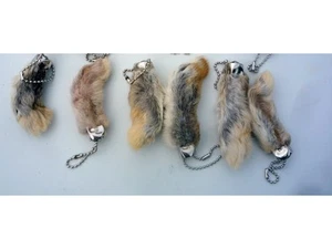 LUCKY RABBITS FOOT RABBIT'S FEET QTY 6 GENUINE RABBIT'S FOOT NATURAL KEY CHAINS - Picture 1 of 5