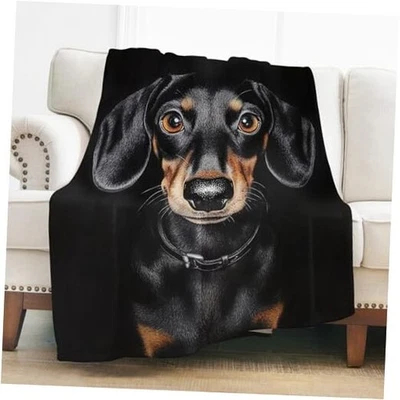 Presentes Dachshund para Mulheres, Cobertor Dachshund Preto 50"x60" Dachshund1 Preto - Imagem 1 de 4