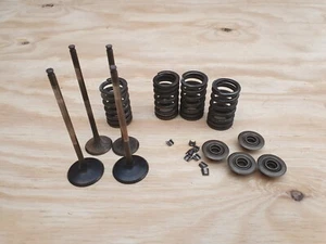 Honda Hornet CB600 F 2007 - 2013 ENGINE PE41E Cylinder Head Valves  1 Cylinder - Picture 1 of 18