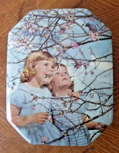 Vintage Blue Bird Confectionery Tin Harry Vincent Hunnington Worcester - Picture 1 of 4