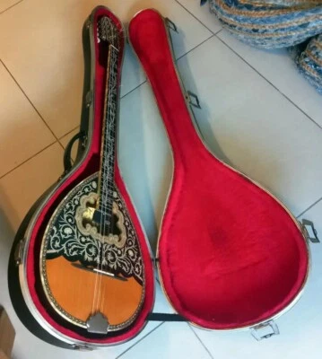 Greek Bouzouki with HARDCASE & PICK UP & TUNER & 300 BACKING TRACK WITH SCORES. - Image 1 of 4