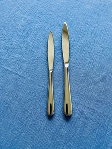 Guy Degrenne France 18/10 Stainless Steel Dinner and Salad Knives Set Of 2 - Picture 1 of 9