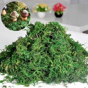 20/50/100g Artificial Moss Simulation Fake Green Plant Landscape Decorative DIY - Picture 1 of 18