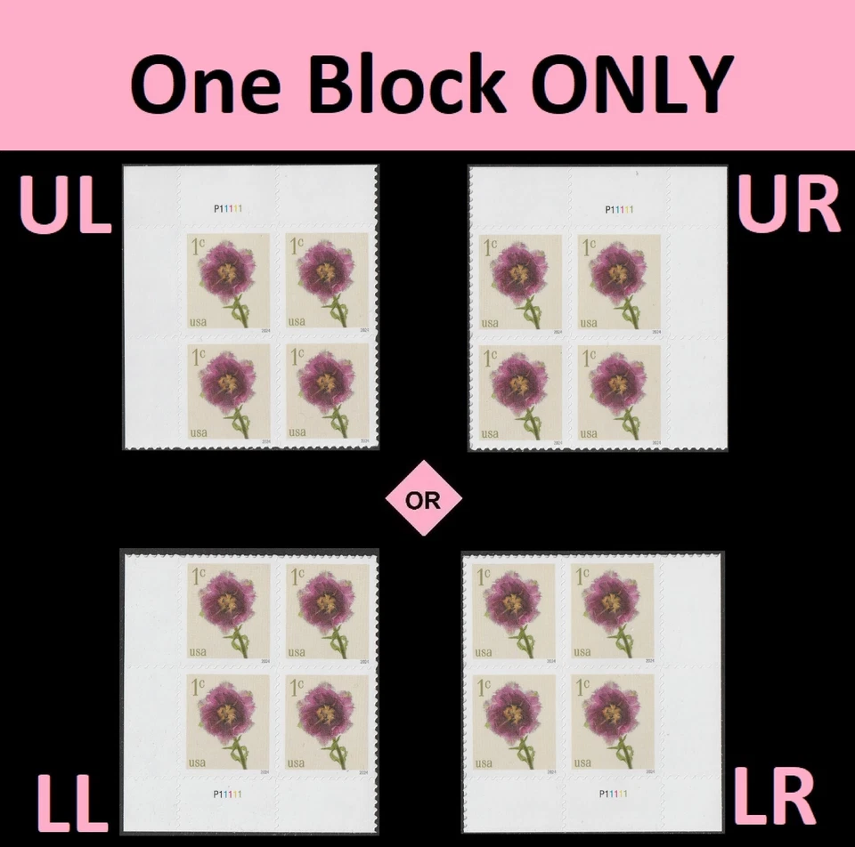 US 5897 Flowers Fringed Tulip 1c plate block 4 MNH 2024 - Image 1 of 1