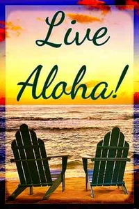 *ALOHA EN VIVO* ¡HECHO EN EE. UU.! LETRERO DE METAL 8X12 BIENVENIDA A LA PLAYA TROPICAL LUAU MAUI - Imagen 1 de 1