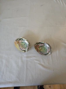 Vtg California Abalone Shells 6" Mother of Pearl Iridescent Jewelry Tray 2 pc - Bild 1 von 3