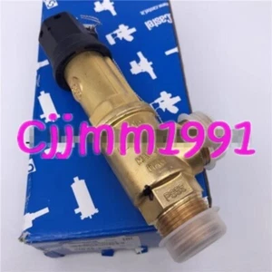 1PC NEW CASTEL Pressure Relief Valve Relief Valve 3030/66C280 3/4 #F11 - Bild 1 von 4