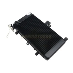 Enfriador de radiador de refrigeración para Honda CBR250RR MC22 1990-1999 1991 1992 1995 1998 - Imagen 1 de 5