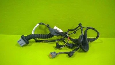 08 09 FORD TAURUS X PASAJERO PUERTA TRASERA DERECHA ARNÉS DE CABLES OEM 2983-52 Foto 1 de 2