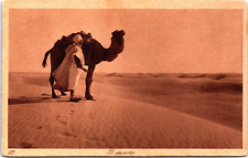 Africa Camel in the Desert Vintage Postcard C141