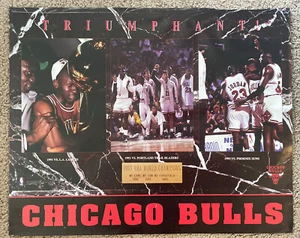 Vintage 1993 Chicago Bulls Champions 3-Peat Michael Jordan Costacos Poster 16x20 - Picture 1 of 6