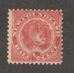 Newfoundland 1896 #57 Newfoundland Dog - Fine MH - Picture 1 of 2