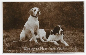 TWO BEAUTIFUL HOUND DOGS JUST CHILLIN IN THE GRASS (1930) - Picture 1 of 3