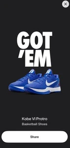 Kobe 6 Protro ‘Dodgers’ CW2190-400 - Size 11.5 Order Confirmed SHIPS ASAP!! - Picture 1 of 5
