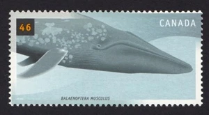 BLUE WHALE, OCEAN = Canada 2000 # 1869 MNH - Picture 1 of 1