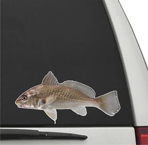 Atlantic Croaker Fisch Vinyl Aufkleber Auto LKW Sticker Angeln Decal - Bild 1 von 1