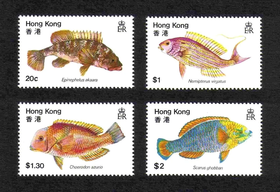 Hong Kong 1981 Fishes complete set of 4 values (SG 395-398) MNH - Image 1 of 1