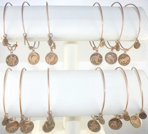 Zodiac Sign Horoscope Astrology Bracelet Copper Color 7 1/4 Inches Unisex - Picture 1 of 5