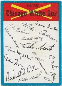 1973 O-Pee-Chee White Sox Team Checklist - Picture 1 of 2