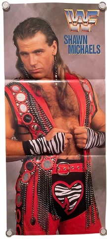 Shawn Michaels Mini Poster WWF WWE DX Wrestling Magazine Appendix Cover