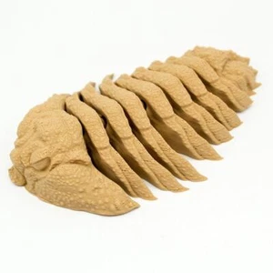 Friendly Fidget Trilobite | Ausgestorbene Meeresarthropoden - Bild 1 von 280