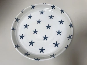 Pottery Barn Melamine Salad Plate S/4 Blue Star Fish Outdoor Dinnerware - Picture 1 of 2