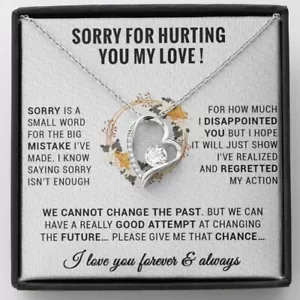 I'm Sorry Necklace Gifts, Apology Gifts For Her, Forgiveness Gift, Wife Gift - Picture 1 of 12