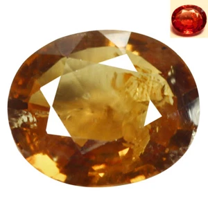 1.60 Ct Oval 8 x 6.9 MM Brown To Purplish Red Madagascar Natural Col Chg Garnet - Bild 1 von 5