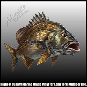 BREAM - 210mm x 170mm - BOAT DECAL - STICKER - Picture 1 of 1