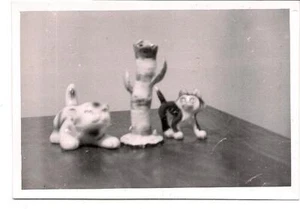 Foto d'epoca "The Babes Kittens At 6 Kuchelstrasse BAMBERG GERMANY 30 dicembre 1957" - Foto 1 di 1