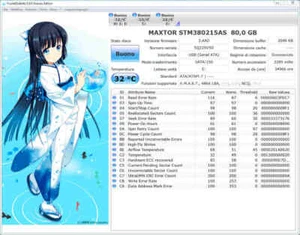 Hard Disk 160 Gb SATA 3,5 MAXTOR DIAMONDMAX 21 STM380215AS TESTATO OK - Foto 1 di 1