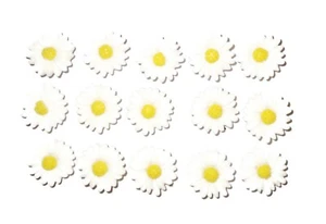 DAISY FLOWER THUMB TACKS - Set of 15 Handmade Decorative Push Pins - Picture 1 of 4