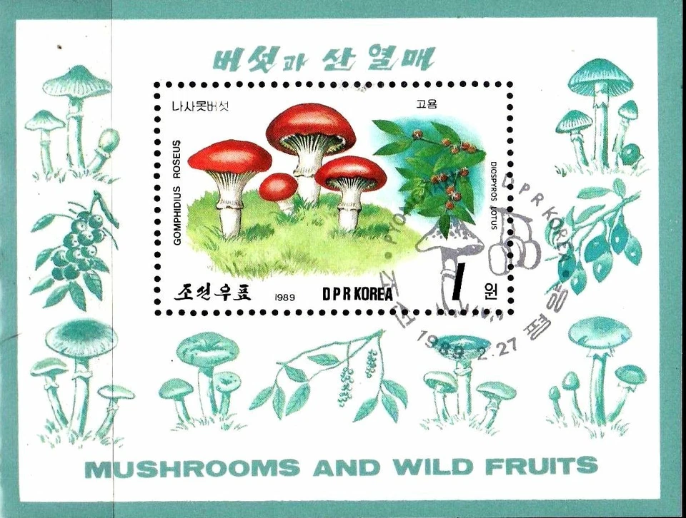 korea 1989 - Paddestoelen / Mushrooms / Pilze  s/s used / cto - Image 1 of 1