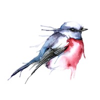 2.5 x 3.5/" Aceo /'BOBINA ROBIN/' Bird Tela STAMPA DI ACQUERELLO ORIGINALE E wardle