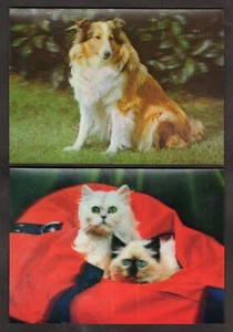 Cane e Gatto - Dog e Cats - coppia di cartoline lenticolari - CG2 - Foto 1 di 5