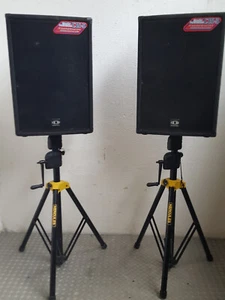 dynacord boxen 15/3 Chorusline mit Ständer - Bild 1 von 5