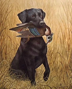 Carl Melichar S/N Hunting Dog Print Jackson Black Lab with Wood Duck (12"x14.5") - Picture 1 of 1
